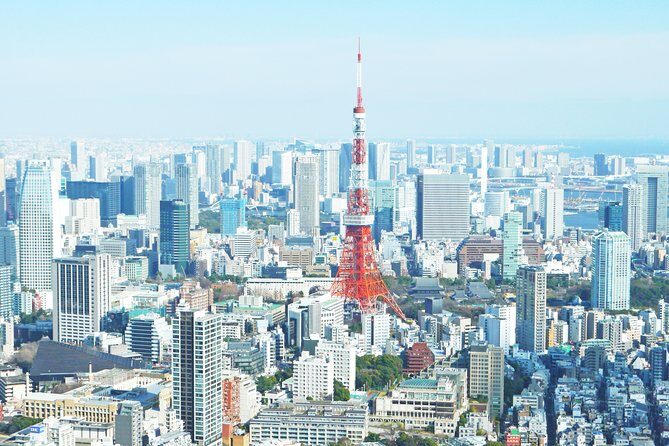 Tokyo 6 hours Customized Private Tour - Tickets, entrance fees, and what you’re paying for