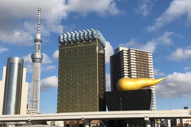 Tokyo 6 hours Customized Private Tour - Transportation and meeting point reality in Tokyo