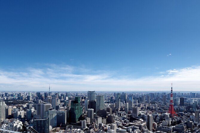Tokyo 6hr Instagram Highlights Private Tour with Licensed Guide - Best matches: who should book this and who should not