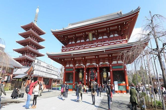 Tokyo 6hr Private Guided Tour & Japanese Sweets Making Experience - Tsukiji Fish Market: food energy and a practical reason to shop