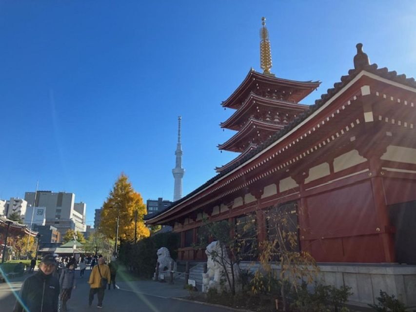 Tokyo: A Half-Day Trip Bus Tour in the Morning - Tokyo Tower: The 150-Meter View That Feels Like Tokyo
