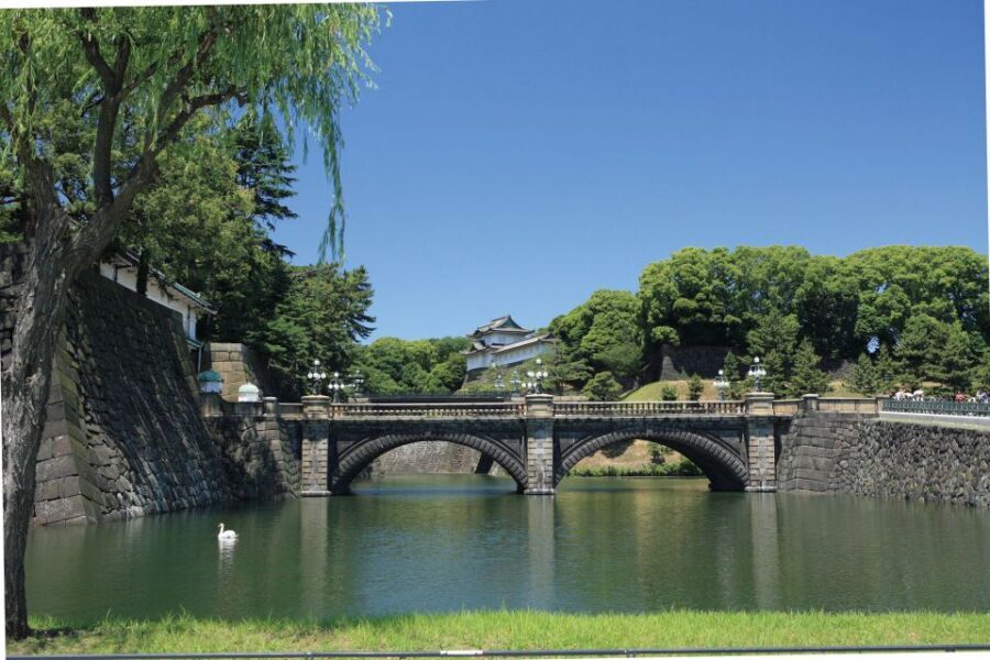 Tokyo: A Half-Day Trip Bus Tour in the Morning - Price and Value: Is $40 Worth It?