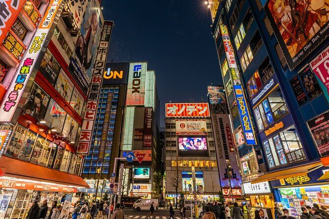 Tokyo Afternoon Tour with Pick-up Service from designated hotels - Comfort, guidance style, and group size: what to expect from the human part