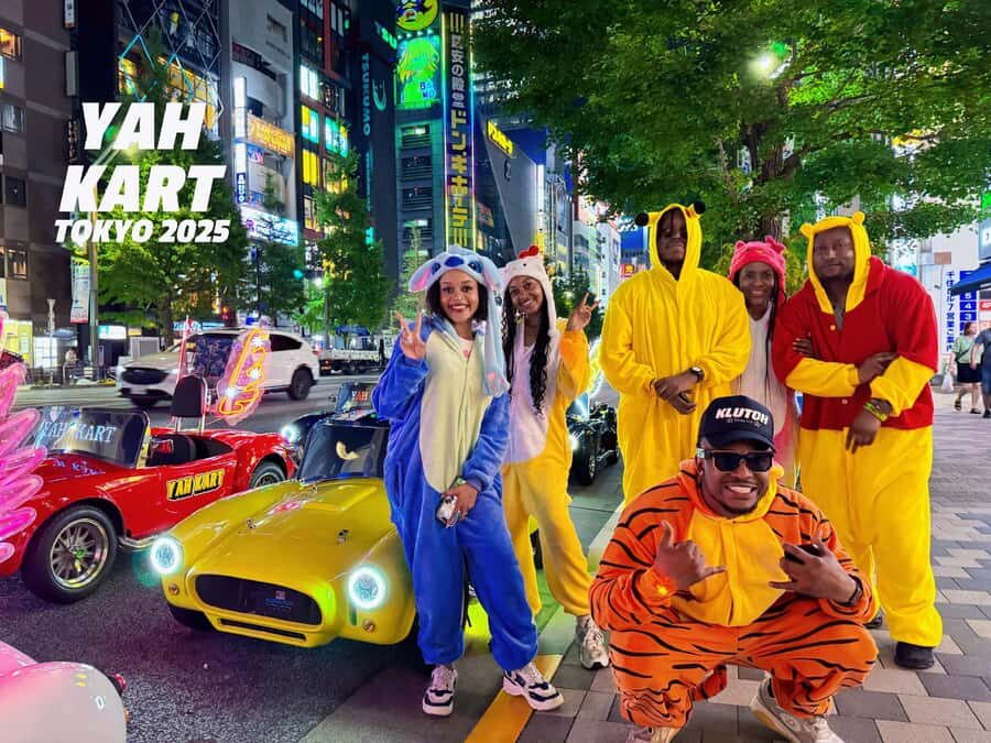 Tokyo: Akihabara/Asakusa Go-Karting Tour (including guide) - License and Meeting Point: The Two Things That Decide Your Day