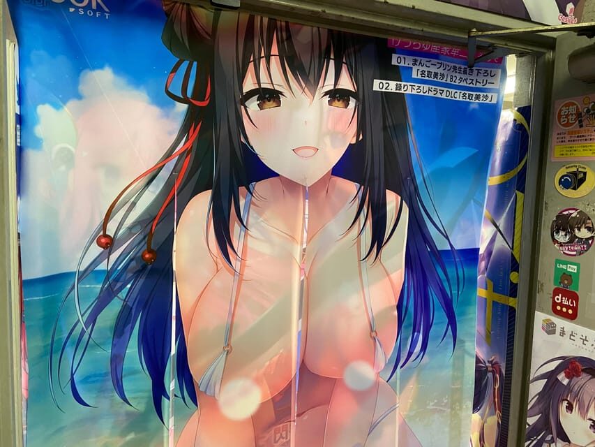 Tokyo: Akihabara Private Hentai Tour - Key Points Worth Knowing Before You Go