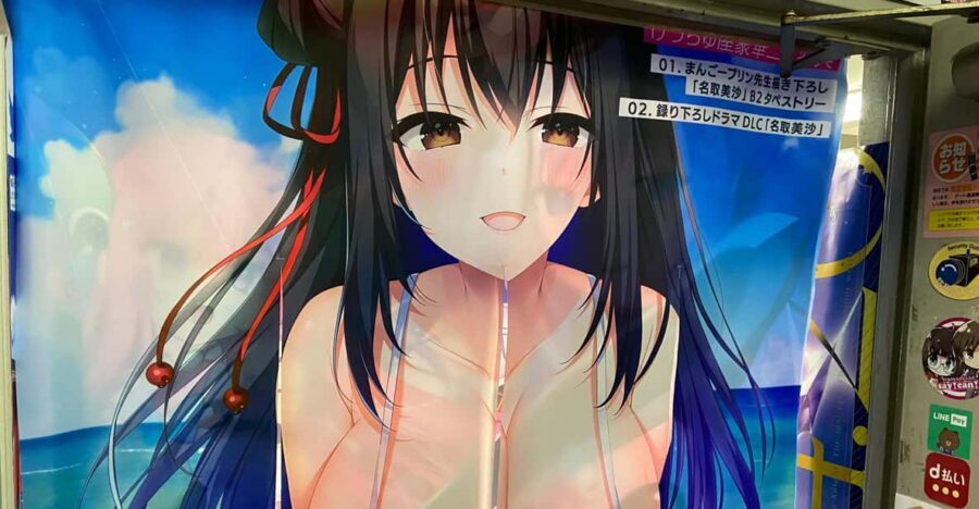 Tokyo: Akihabara Private Hentai Tour - Manga, Anime, and Video Game Shopping With Real Translation Help