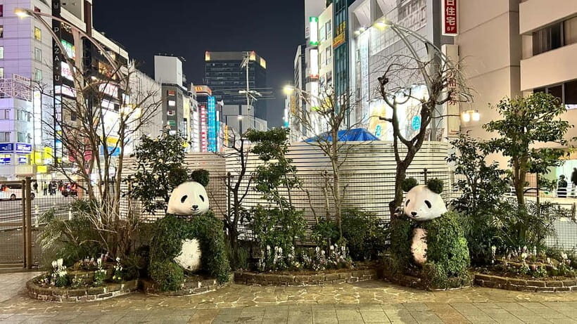 Tokyo: Akihabara, Shibuya, Karaoke & City Lights Night Tour - Key highlights you’ll feel during the night