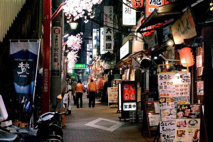 Tokyo: Akihabara, Shibuya, Karaoke & City Lights Night Tour - Small tips that make this night tour smoother