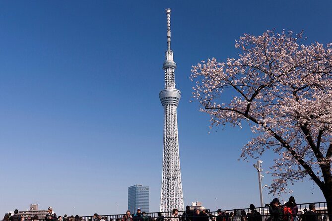 Tokyo Asakusa Half Day Walking Tour with Local Guide - Asakusa in 2.5 Hours: what this walk helps you nail