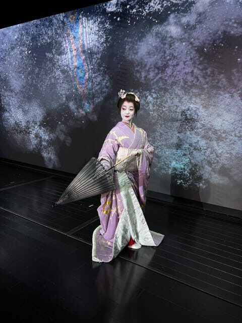 Tokyo: Authentic Japanese Dance Show ticket by professionals - Shinjuku Location: Why This Fits So Well Into Tokyo Days