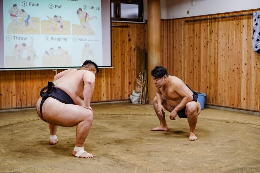 Tokyo: Authentic Sumo Wrestling Experience with Lunch - Morning Practice From Near the Ring: Watching With Purpose