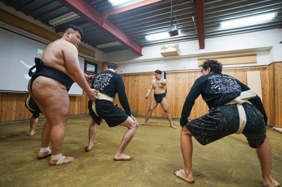 Tokyo: Authentic Sumo Wrestling Experience with Lunch - Should You Book This Sumo-and-Lunch Experience?