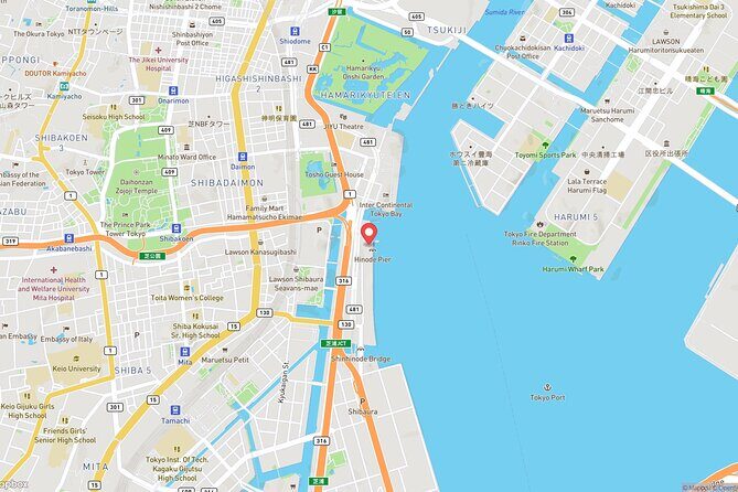 Tokyo Bay Cruise Adventure with options - Skyline Sights You’ll See From the Water