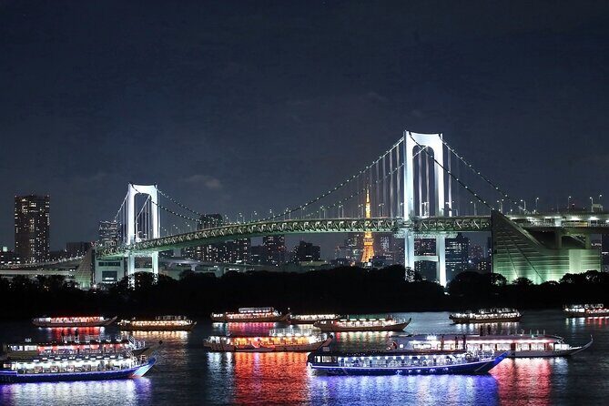 Tokyo Bay Cruise Adventure with options - Who This Tour Suits Best (And Who Might Want Something Longer)