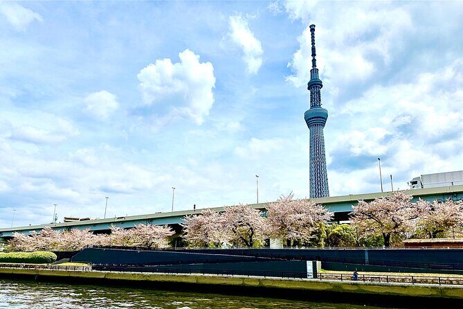 Tokyo Bay Yakatabune Cruise with Traditional JapaneseShow Drinks - Tokyo Bay Yakatabune: A calm, traditional ride from Etchūjima