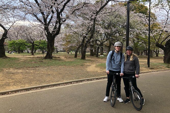 Tokyo Bike Tour: Shibuya & Hidden Tokyo - What route you’ll actually pedal: Shibuya to Harajuku to Aoyama