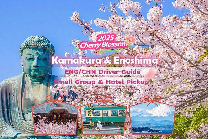 Tokyo: Bus Tour to Kamakura Great Buddha & Enoshima with Pickup - Key things to know before you go