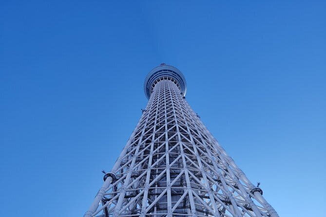 Tokyo Cherry Blossom Half Day Walking Tour with a Local Guide - Getting around Tokyo with a local guide (and why it matters)