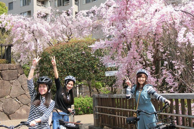 Tokyo Cherry Blossoms blooming spots E-bike Tour, 3hrs - Why an e-bike sakura ride beats trying to do it solo