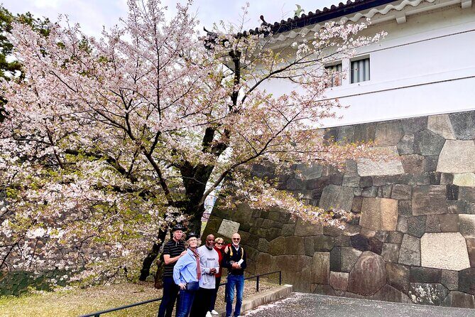 Tokyo Cherry Blossoms blooming spots E-bike Tour, 3hrs - What the guides add: stories, context, and photo help