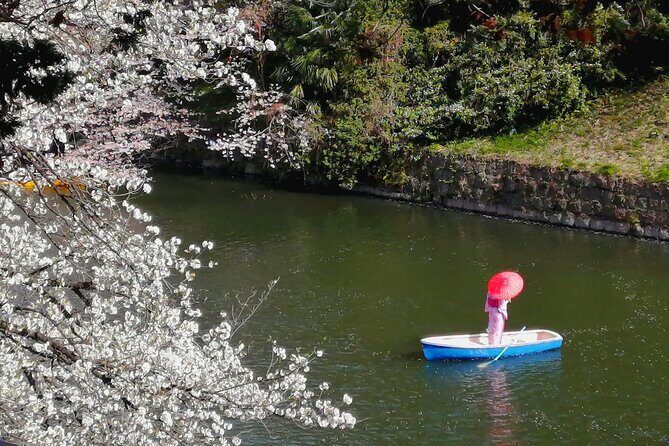 Tokyo Cherry Blossoms blooming spots E-bike Tour, 3hrs - Value check: is $64.57 for 3 hours worth it?