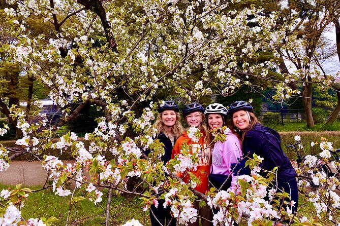 Tokyo Cherry Blossoms blooming spots E-bike Tour, 3hrs - Getting oriented at Cycling Holiday Tokyo in Kanda
