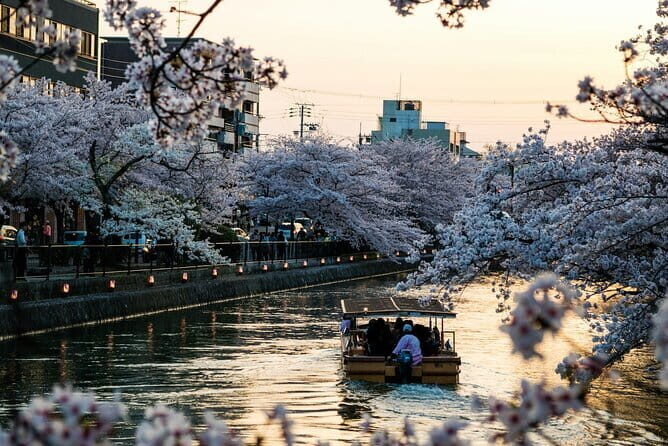 Tokyo City Adventures Private English Tour With Hotel Pickup - Key points