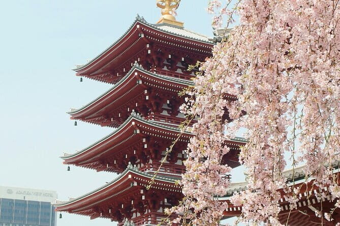 Tokyo City Adventures Private English Tour With Hotel Pickup - A Private Tokyo Route You Can Actually Enjoy in 6 to 8 Hours