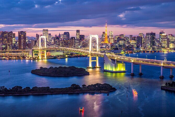 Tokyo City Night View Tour with Native Japanese Driver - Pickup timing: what 6:00 pm really means