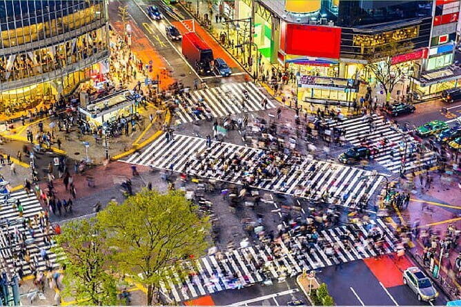 Tokyo City Tour by Private Car & English guide - Skytree vs Tokyo Tower: picking one skyline and budgeting for tickets