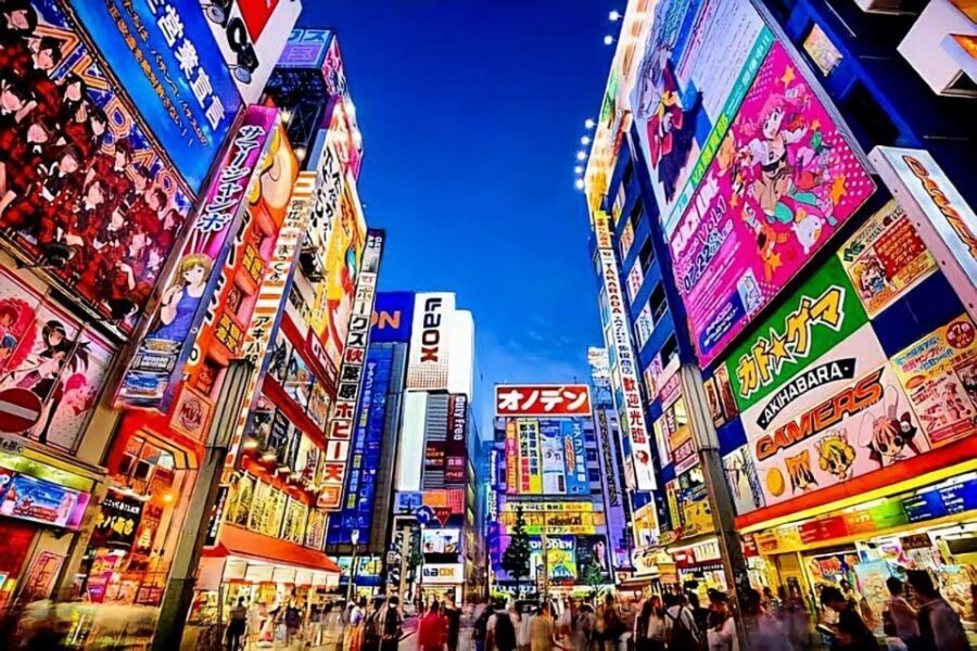 Tokyo: City Tour Tokyo With Driver - Private Driver Pickup: What It Changes About Tokyo
