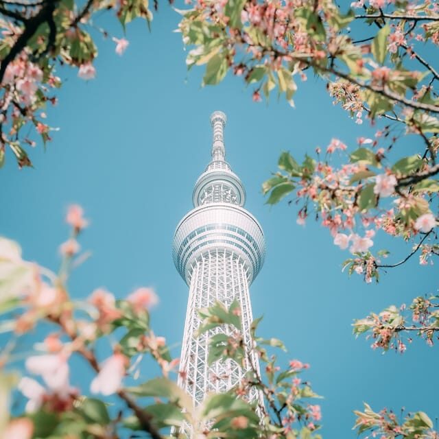 Tokyo: City Tour Tokyo With Driver - Tokyo Skytree Town: A High-View Reset in the Middle of the Day
