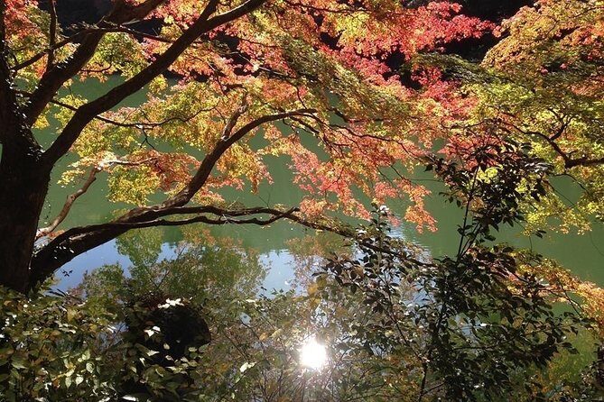 Tokyo Countryside Exploration Private Tour - Key Highlights Worth Planning Around