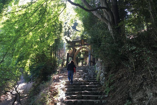 Tokyo Countryside Exploration Private Tour - Why Hanno’s Bamboo Temple Feels Different
