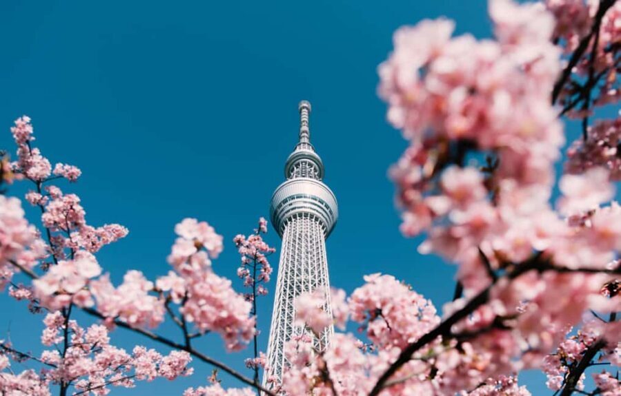 Tokyo: Customizable Day Trip Within Tokyo & English-Driver - Tokyo Tower or Shibuya Sky at twilight: choosing your skyline moment