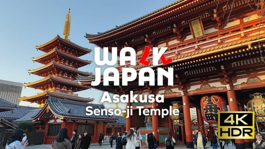 Tokyo: Customizable Day Trip Within Tokyo & English-Driver - English-driver setup: what you actually get from the guide