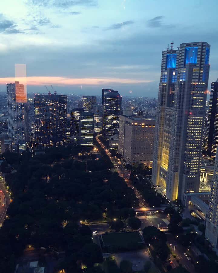 Tokyo: Customizable Day Trip Within Tokyo & Its Attractions - Key Points You’ll Actually Care About