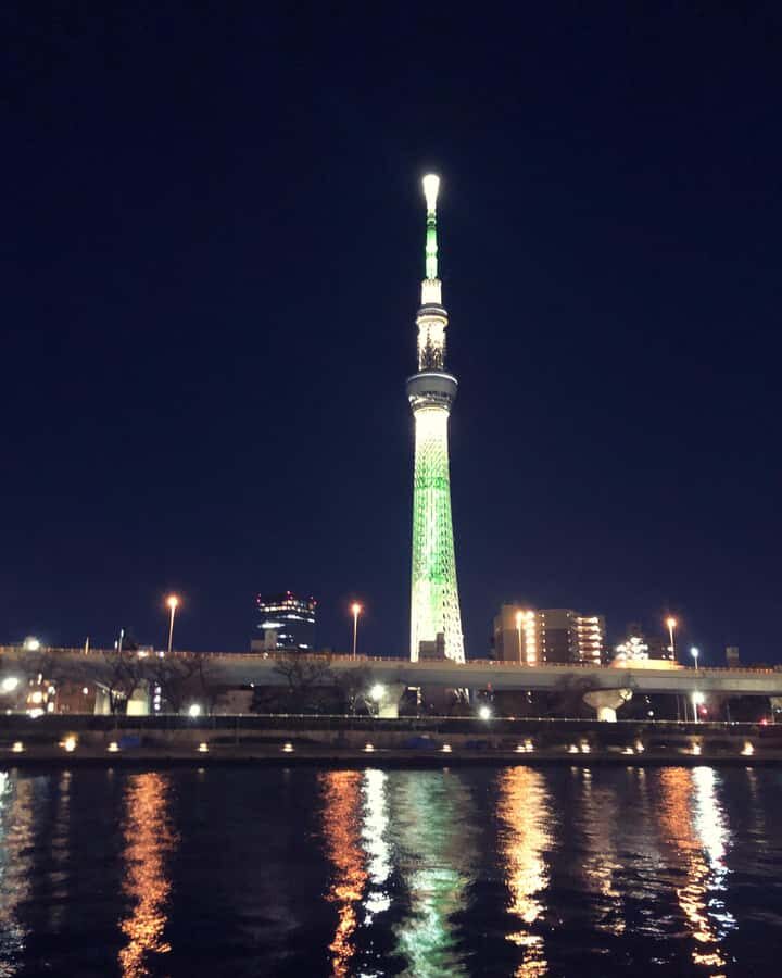 Tokyo: Customizable Day Trip Within Tokyo & Its Attractions - A Custom Tokyo Day Trip Built Around Your Decisions