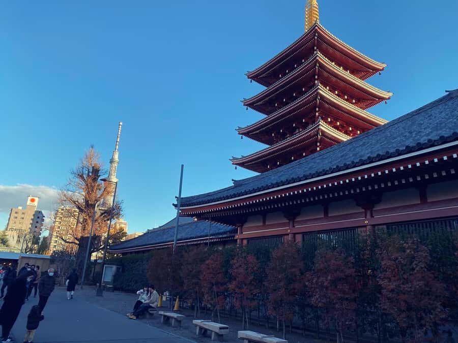 Tokyo: Customizable Day Trip Within Tokyo & Its Attractions - Your Day Starts Smooth: Timing, Meeting, and How the Driver Helps