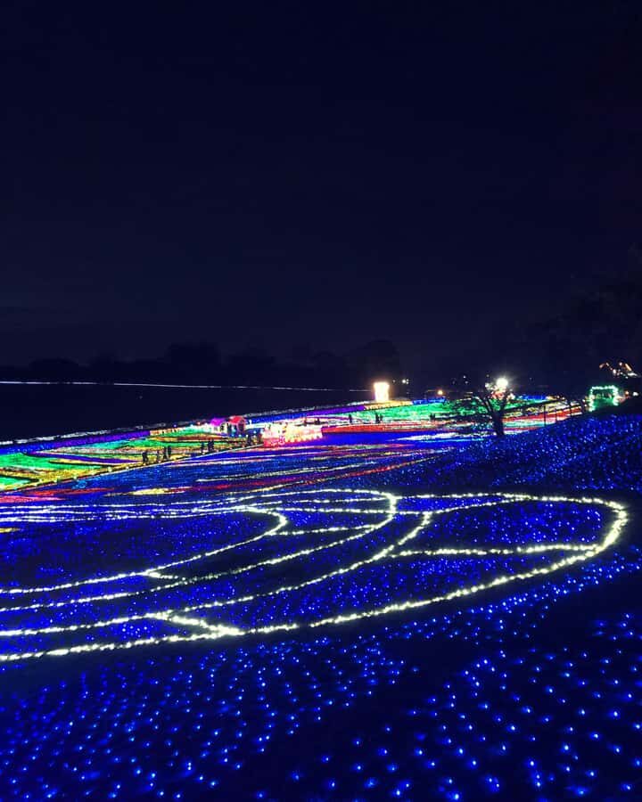 Tokyo: Customizable Day Trip Within Tokyo & Its Attractions - Roppongi: City Views and a More “Plan-Friendly” Stop