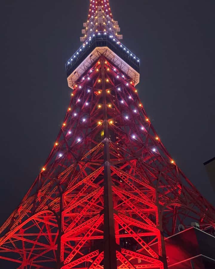 Tokyo: Customizable Day Trip Within Tokyo & Its Attractions - Tour Length and Group Size: The Value Math