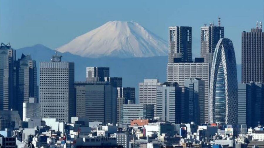 Tokyo: Customizable Private Guided Walking Tour - How Customization Actually Works (What You Should Ask For)