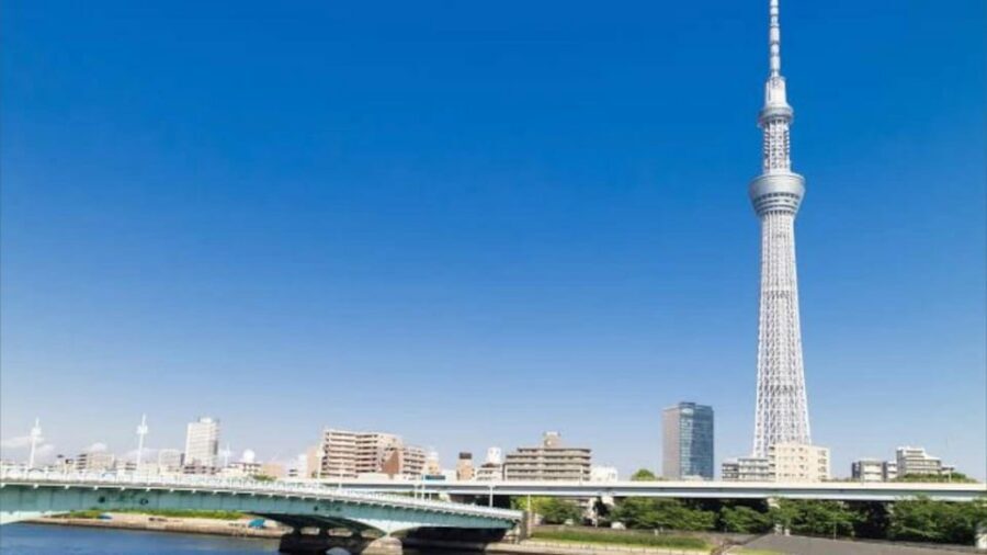 Tokyo: Customizable Private Guided Walking Tour - Timing in 4 Hours: How to Avoid the Tokyo Rush Trap