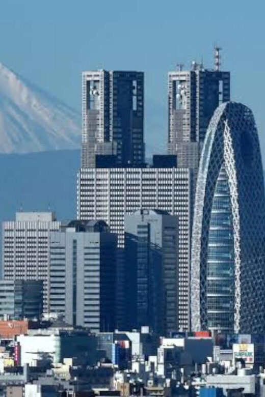 Tokyo: Customizable Private Guided Walking Tour - Should You Book This Tokyo Private Guided Walking Tour?