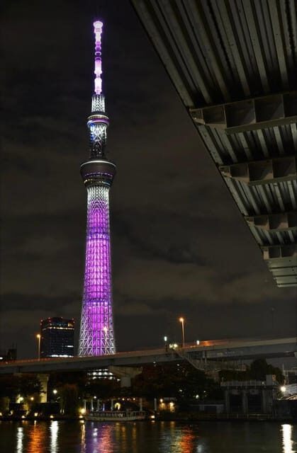Tokyo Customizable Private Tour by Car & Van - Key Things You’ll Notice