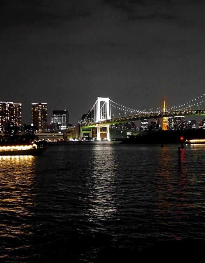 Tokyo Customizable Private Tour by Car & Van - Tokyo Tower: quick views and an easy mid-day reset