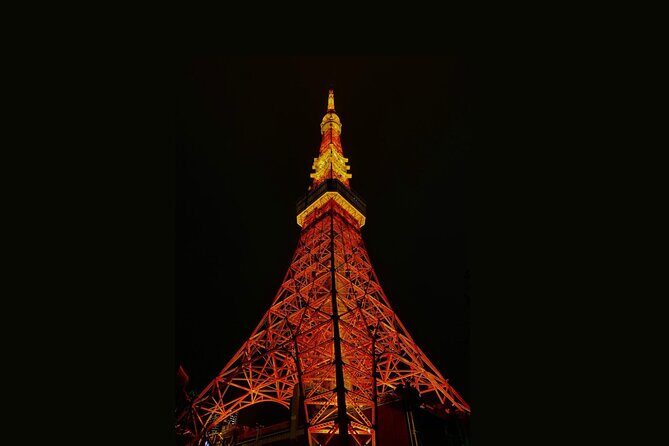 Tokyo Customizable Private Walking Tour with a Local Guide - Price and Value: What You Get for About $52.03