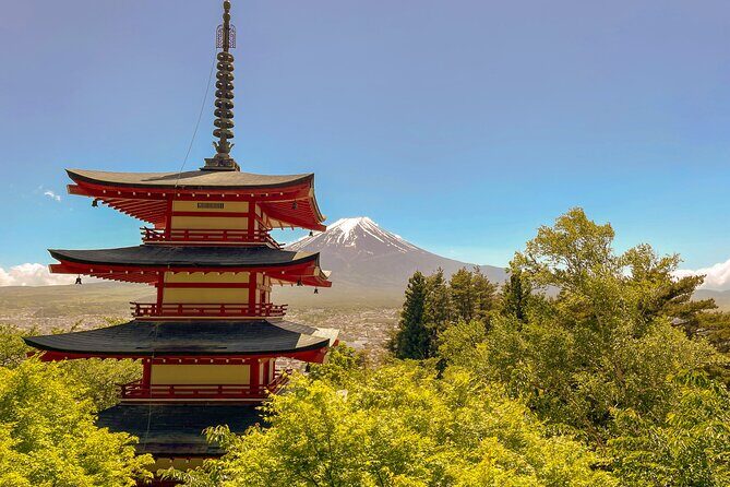 Tokyo: Customized Mt. Fuji & Hakone Sightseeing Private Day Trip - Subaru Line 5th Station: the altitude payoff, plus the extra fee