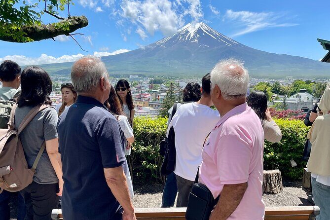 Tokyo: Customized Mt. Fuji & Hakone Sightseeing Private Day Trip - Lake Kawaguchiko: Fuji reflections and a boat option
