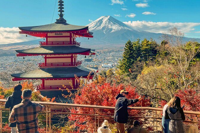 Tokyo: Customized Mt. Fuji & Hakone Sightseeing Private Day Trip - Mt. Fuji Panoramic Ropeway: when you want more view time